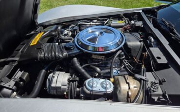 Chevrolet-Corvette-1981-Silver-Blue-24