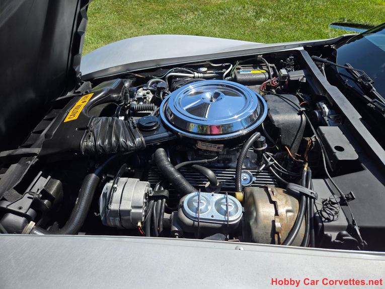 Chevrolet-Corvette-1981-Silver-Blue-24