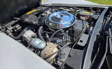 Chevrolet-Corvette-1981-Silver-Blue-25