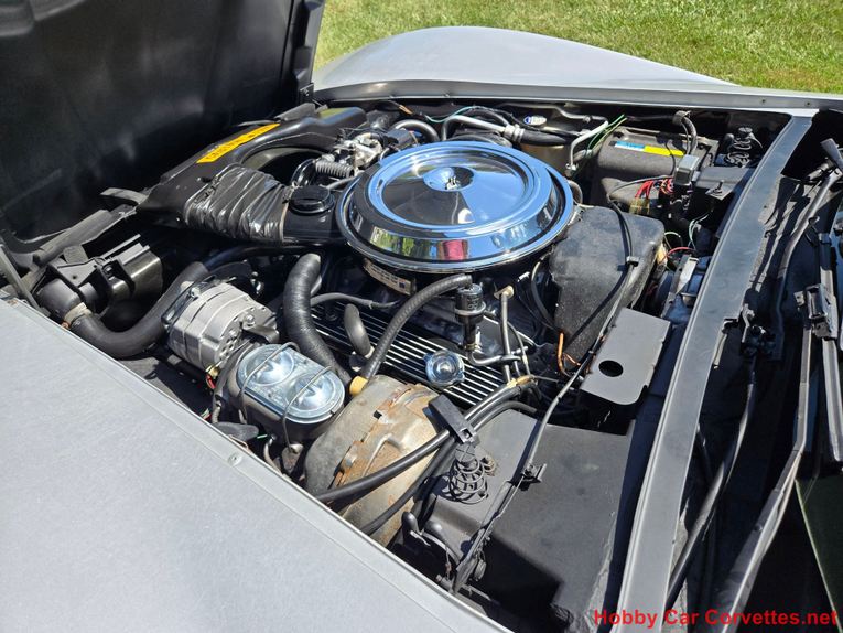 Chevrolet-Corvette-1981-Silver-Blue-25