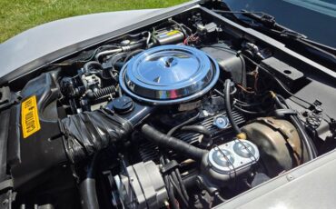Chevrolet-Corvette-1981-Silver-Blue-26