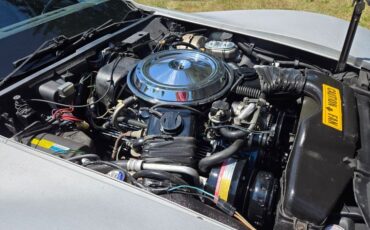 Chevrolet-Corvette-1981-Silver-Blue-27