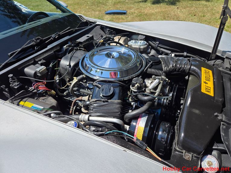 Chevrolet-Corvette-1981-Silver-Blue-27