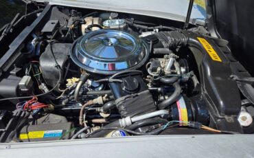 Chevrolet-Corvette-1981-Silver-Blue-28