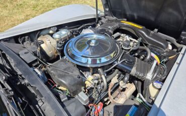 Chevrolet-Corvette-1981-Silver-Blue-29