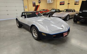 Chevrolet-Corvette-1981-Silver-Blue-3