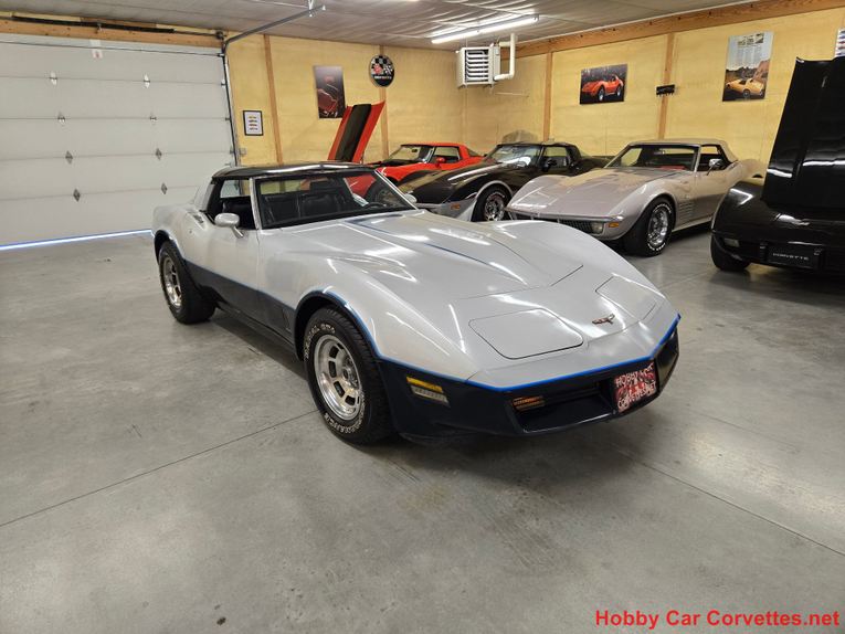 Chevrolet-Corvette-1981-Silver-Blue-3