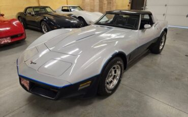Chevrolet-Corvette-1981-Silver-Blue-30