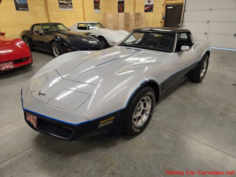 Chevrolet-Corvette-1981-Silver-Blue-30