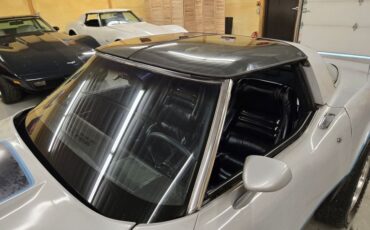 Chevrolet-Corvette-1981-Silver-Blue-31