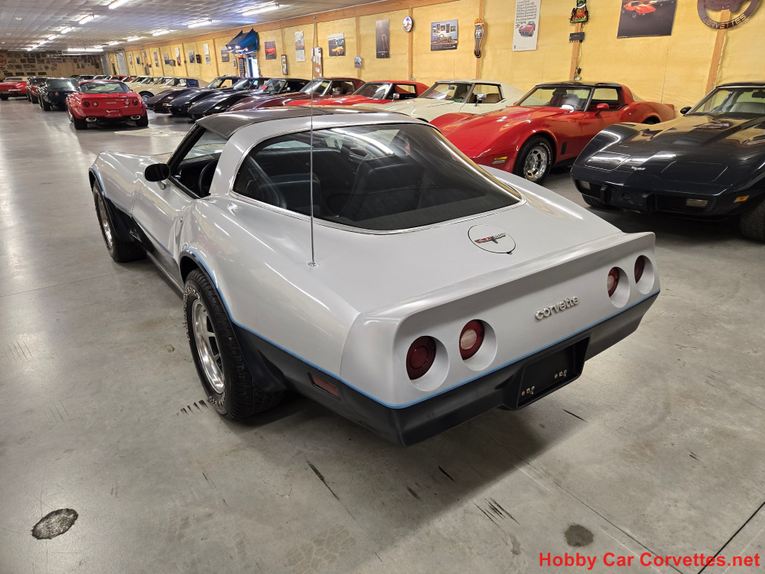 Chevrolet-Corvette-1981-Silver-Blue-32