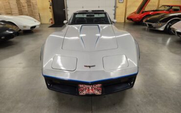 Chevrolet-Corvette-1981-Silver-Blue-33