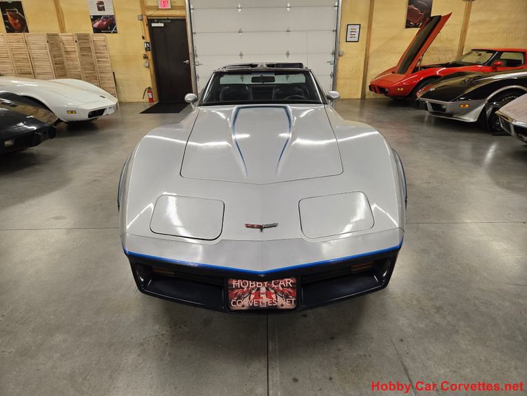 Chevrolet-Corvette-1981-Silver-Blue-33