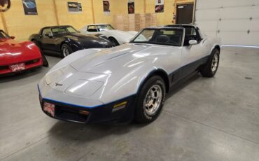 Chevrolet-Corvette-1981-Silver-Blue-34