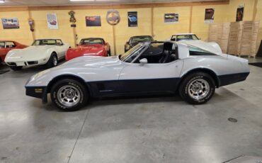 Chevrolet-Corvette-1981-Silver-Blue-35