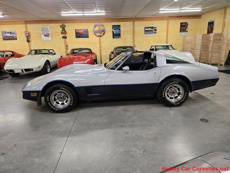 Chevrolet-Corvette-1981-Silver-Blue-35