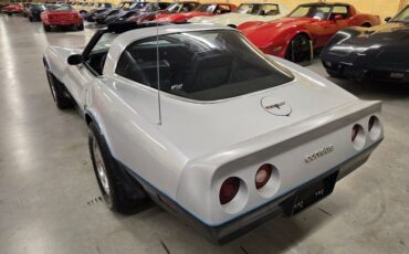 Chevrolet-Corvette-1981-Silver-Blue-36