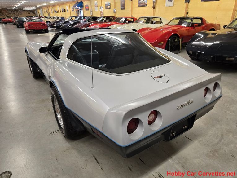 Chevrolet-Corvette-1981-Silver-Blue-36