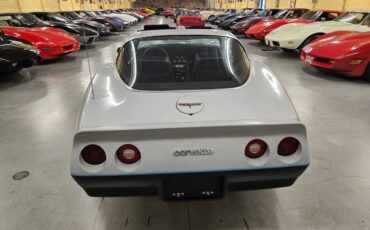 Chevrolet-Corvette-1981-Silver-Blue-37