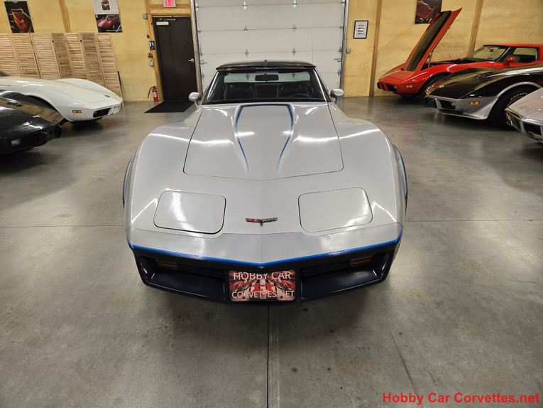 Chevrolet-Corvette-1981-Silver-Blue-4