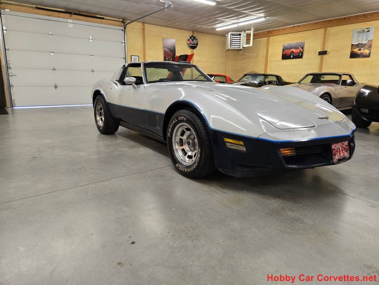 Chevrolet-Corvette-1981-Silver-Blue-5