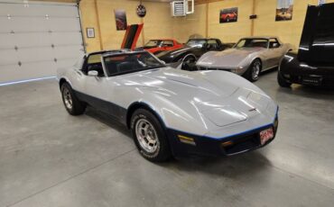 Chevrolet-Corvette-1981-Silver-Blue-6