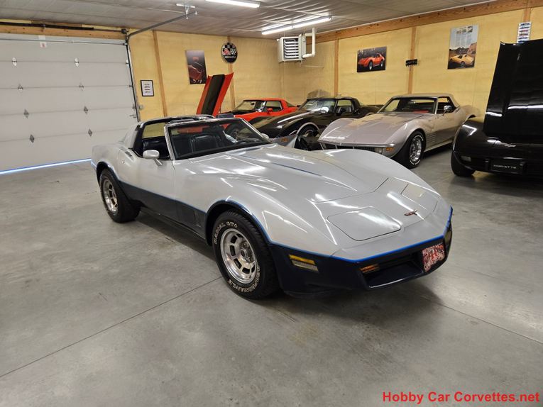 Chevrolet-Corvette-1981-Silver-Blue-6