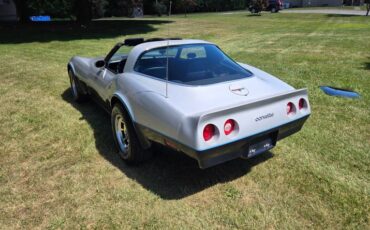 Chevrolet-Corvette-1981-Silver-Blue-7