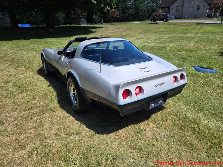 Chevrolet-Corvette-1981-Silver-Blue-7