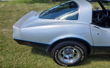 Chevrolet-Corvette-1981-Silver-Blue-8