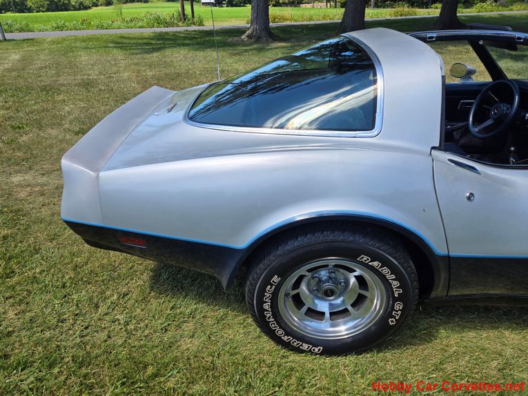 Chevrolet-Corvette-1981-Silver-Blue-8
