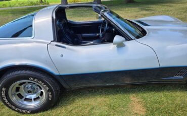 Chevrolet-Corvette-1981-Silver-Blue-9