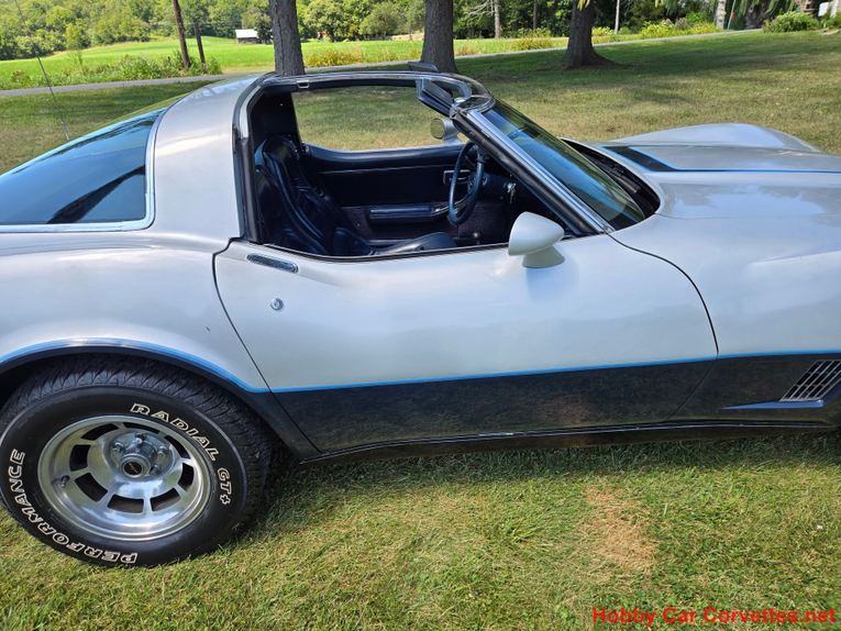 Chevrolet-Corvette-1981-Silver-Blue-9