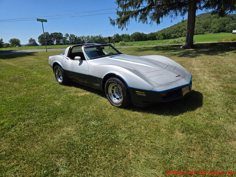 Chevrolet-Corvette-1981-Silver-Blue