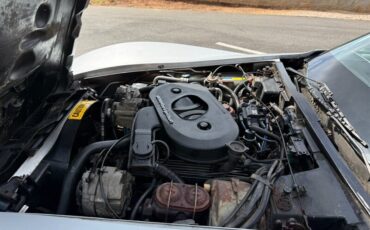 Chevrolet-Corvette-1982-Black-Black-36