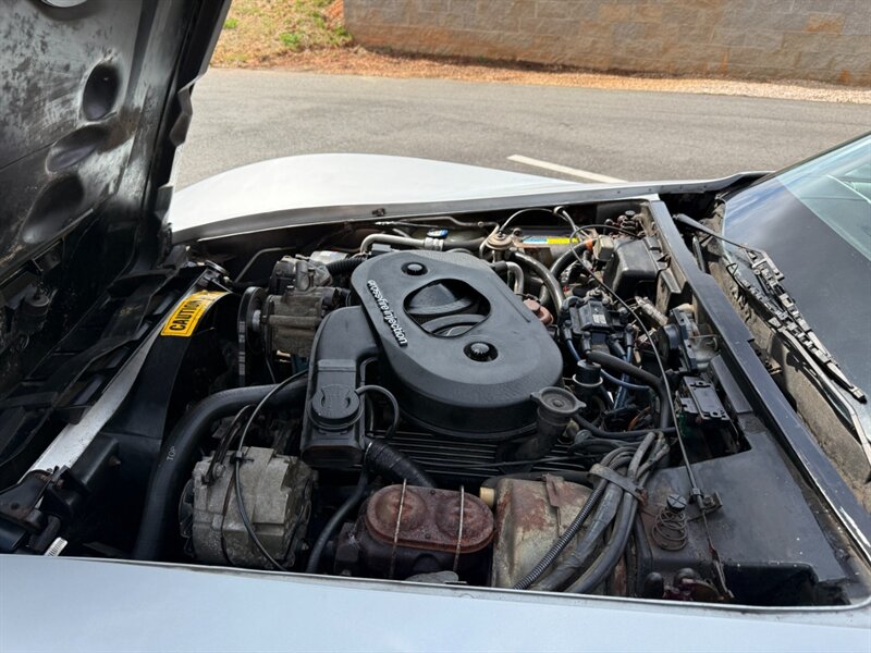 Chevrolet-Corvette-1982-Black-Black-36