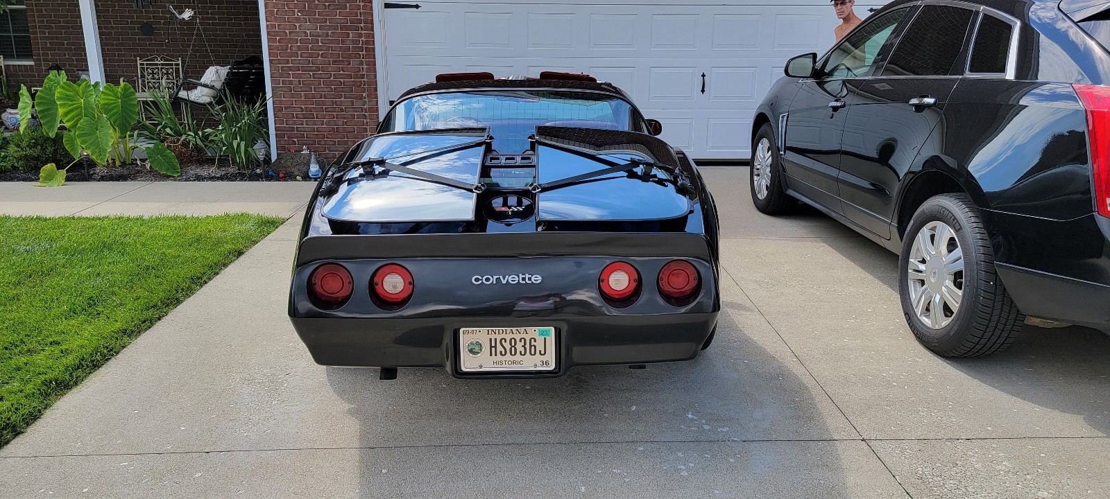 Chevrolet-Corvette-1982-Coupe-1