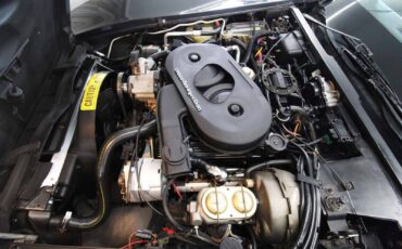 Chevrolet-Corvette-1982-LOW-MILES-31