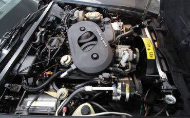 Chevrolet-Corvette-1982-LOW-MILES-32