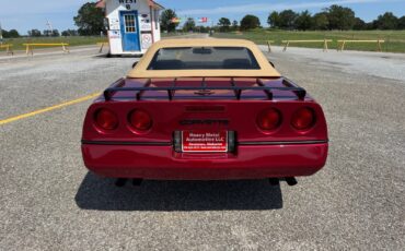 Chevrolet-Corvette-1989-Convertible-6