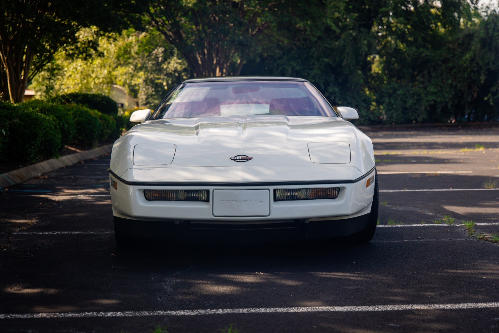 Chevrolet-Corvette-1990-Hatchback-1