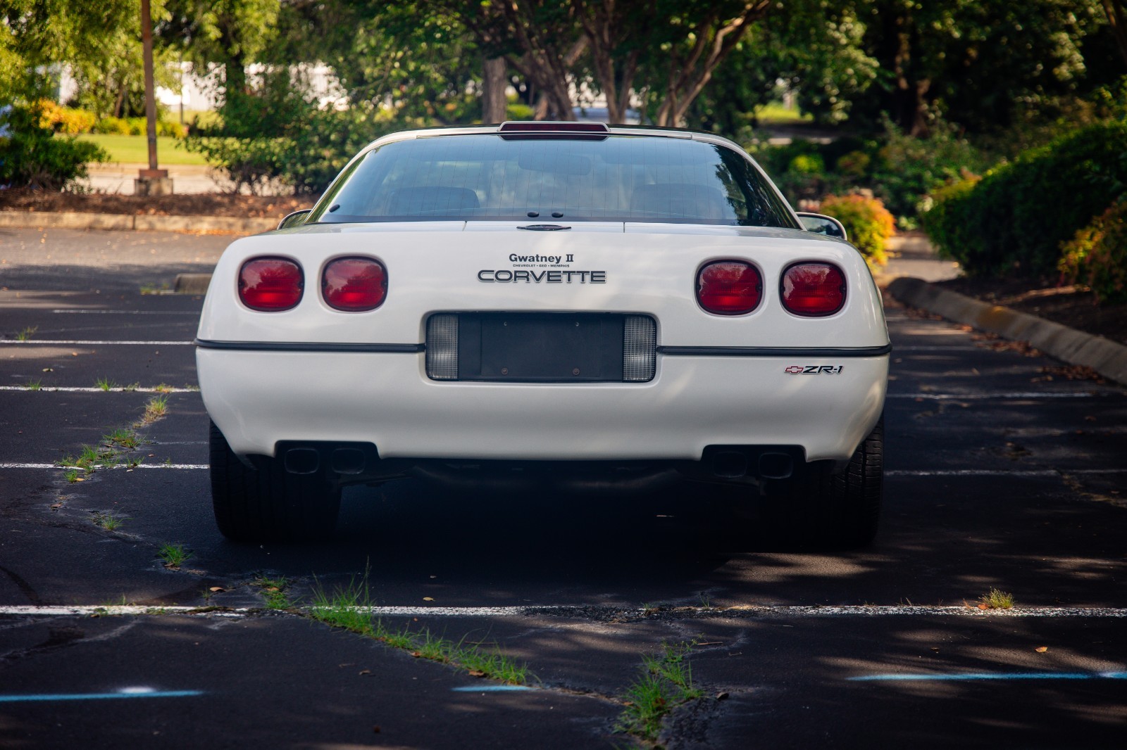 Chevrolet-Corvette-1990-Hatchback-2