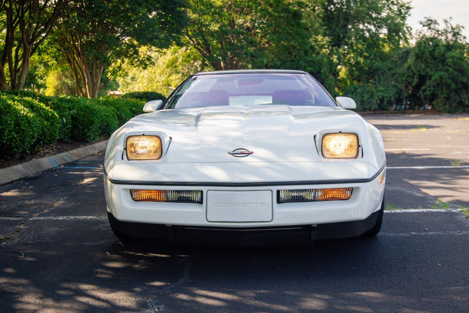 Chevrolet-Corvette-1990-Hatchback-21