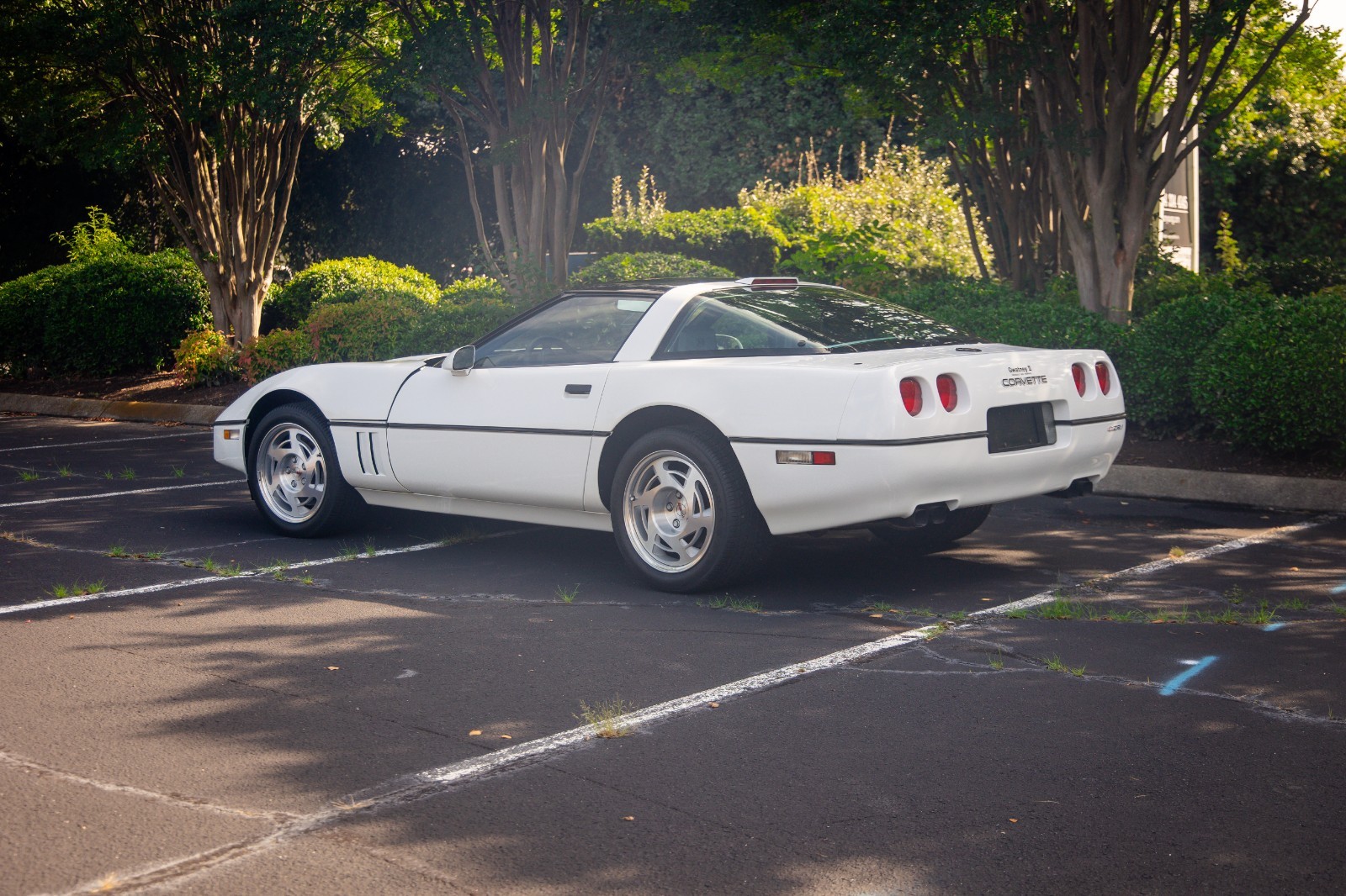 Chevrolet-Corvette-1990-Hatchback-3