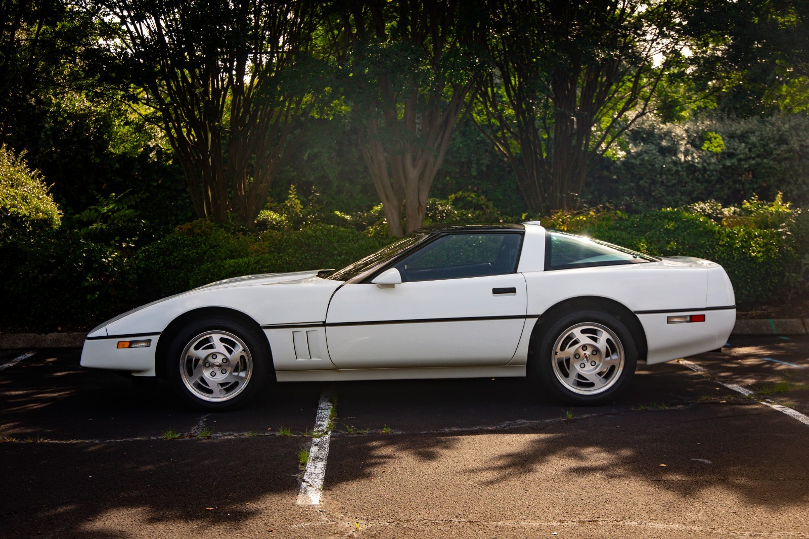 Chevrolet-Corvette-1990-Hatchback-4
