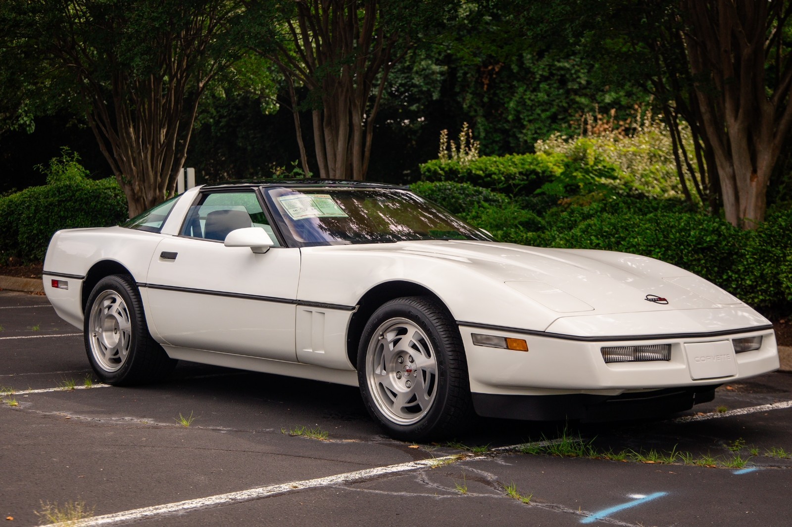 Chevrolet-Corvette-1990-Hatchback-6