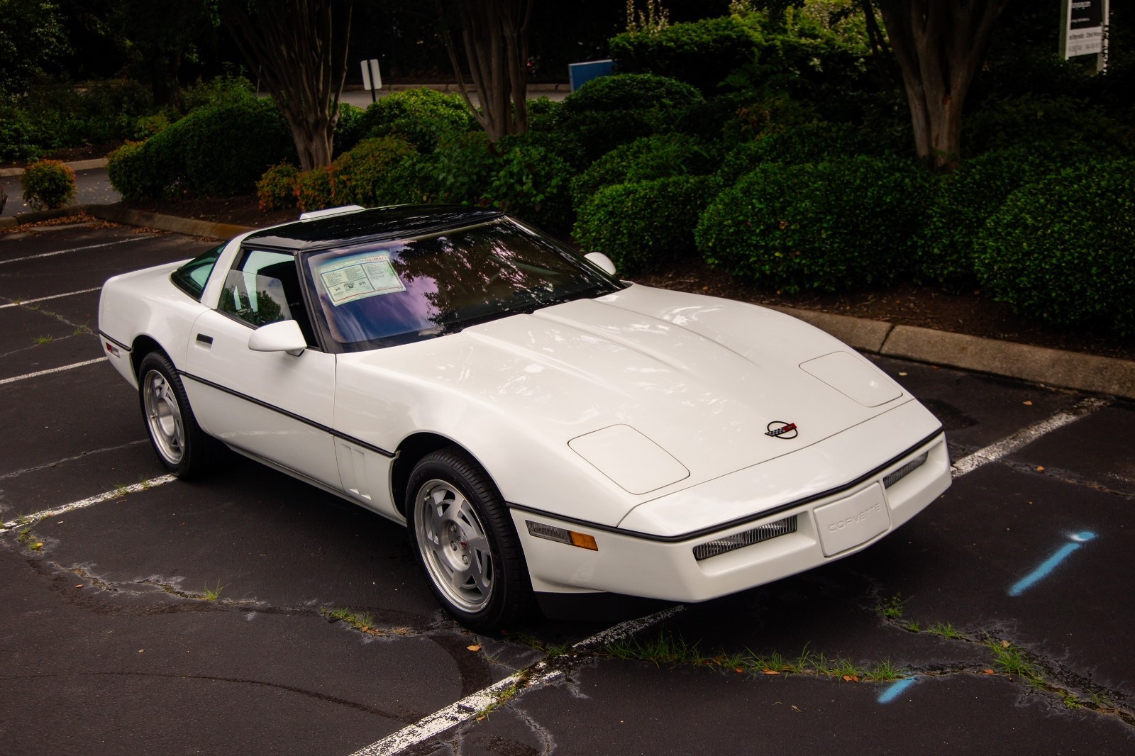 Chevrolet-Corvette-1990-Hatchback-7