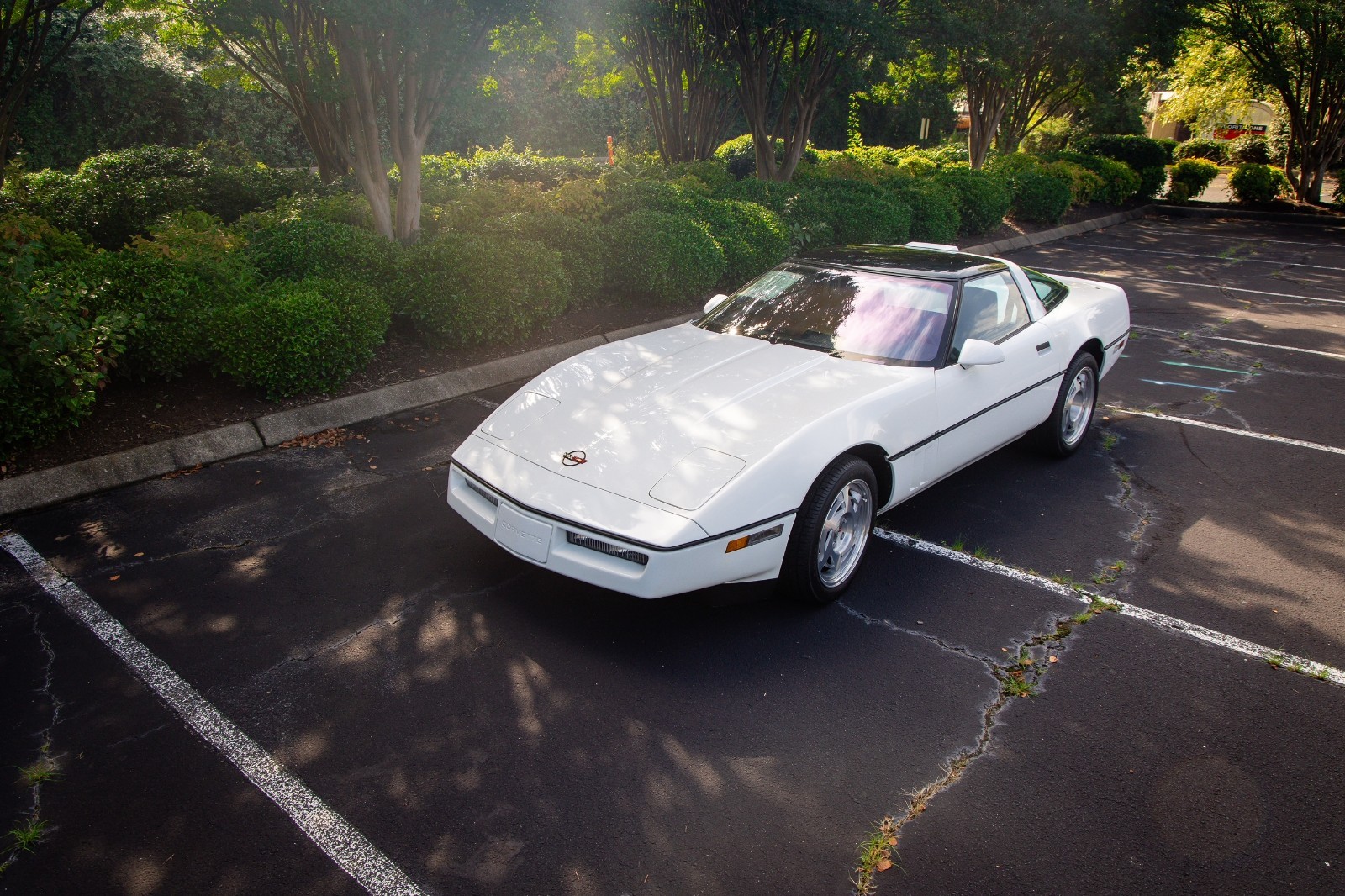 Chevrolet-Corvette-1990-Hatchback-8