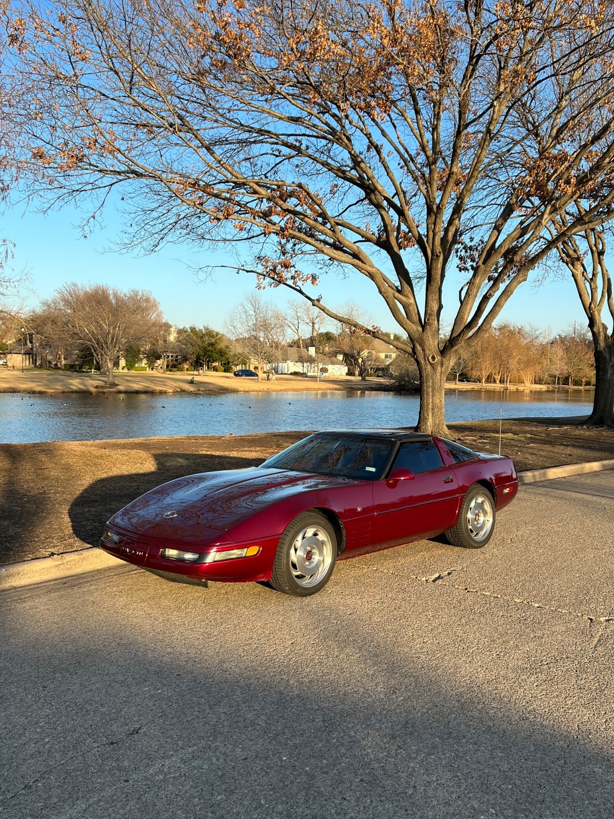Chevrolet-Corvette-1993-Coupe-12