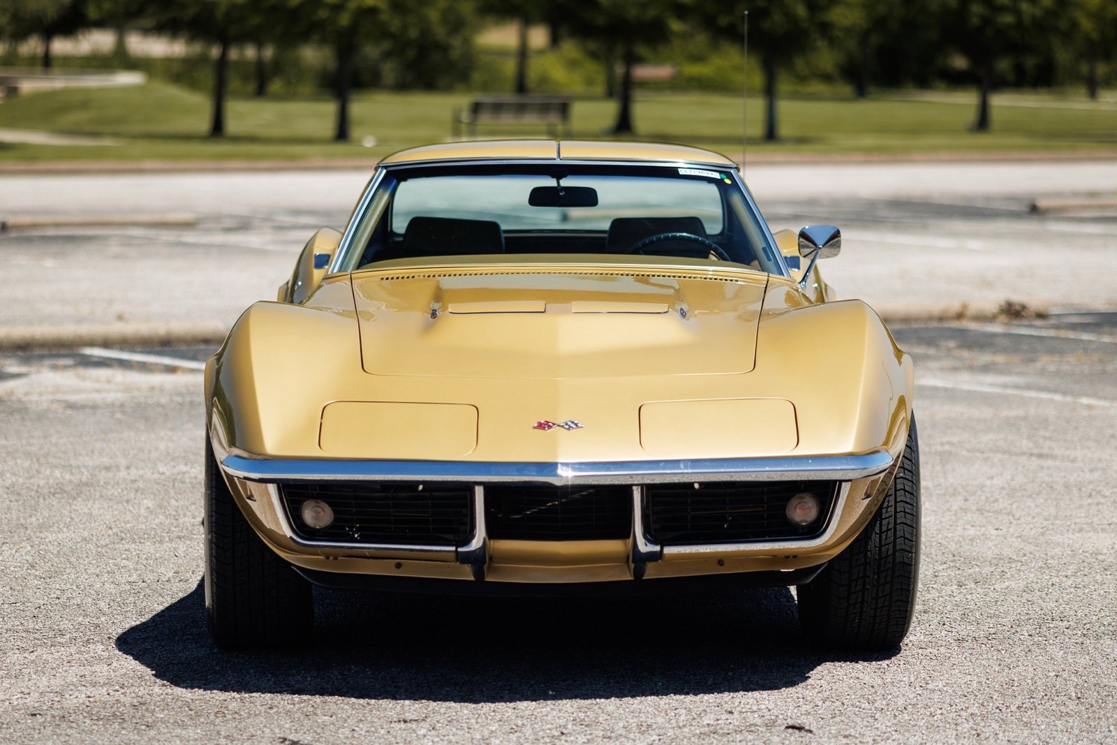 Chevrolet-Corvette-427390-1969-Coupe-14